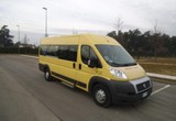 Fiat Ducato Altro Minibus disabili